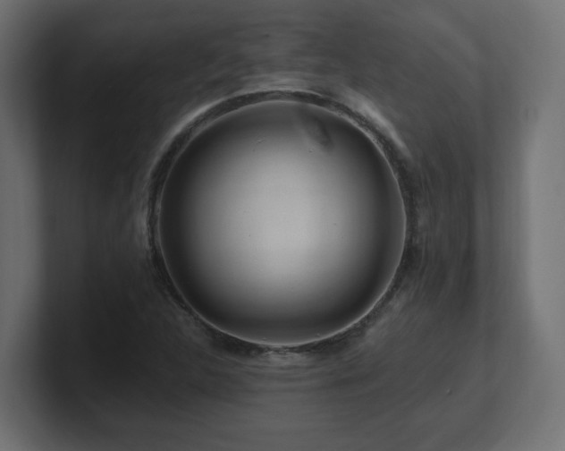 X0000101091312200806261443