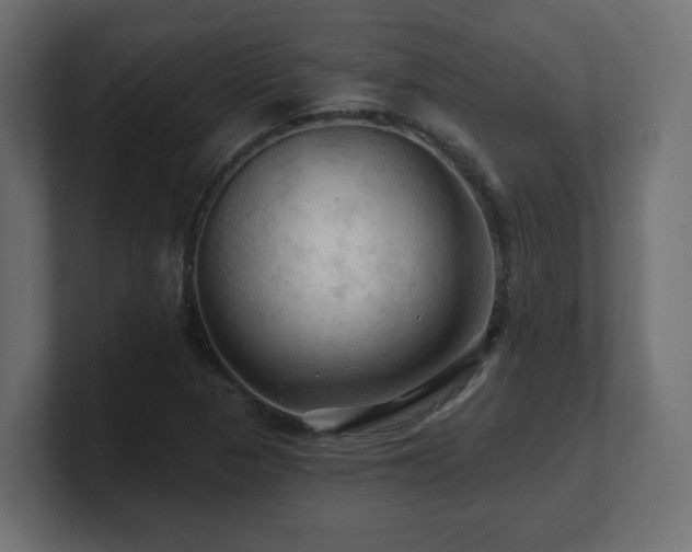 X0000101091313200806261443