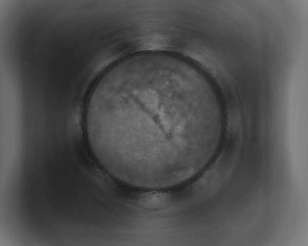 X0000101091314200806261443