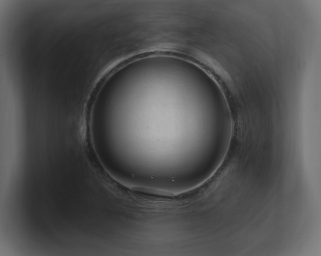 X0000101091316200806261443