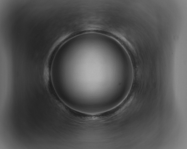 X0000101091317200806261443