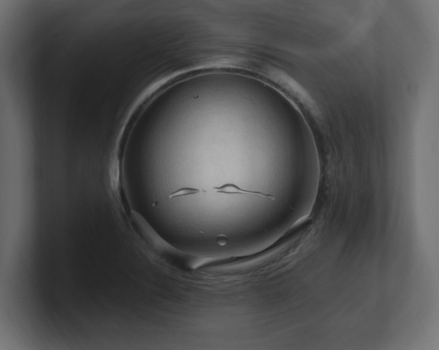 X0000101091324200806261443