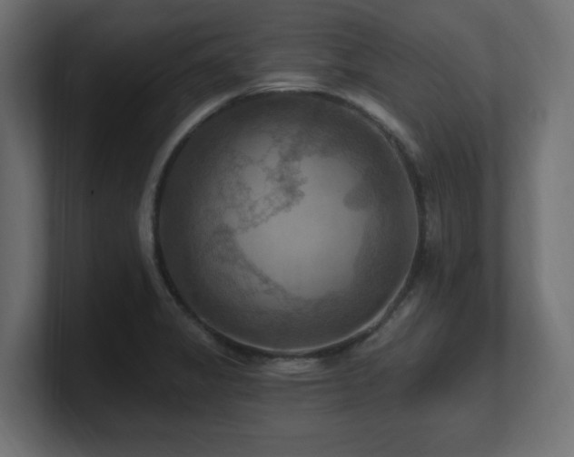 X0000101091325200806261443