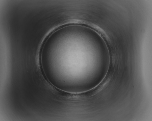 X0000101091326200806261443