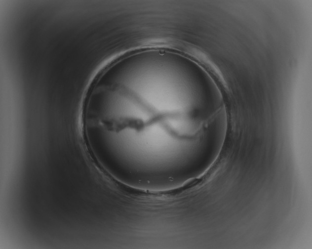 X0000101091328200806261443