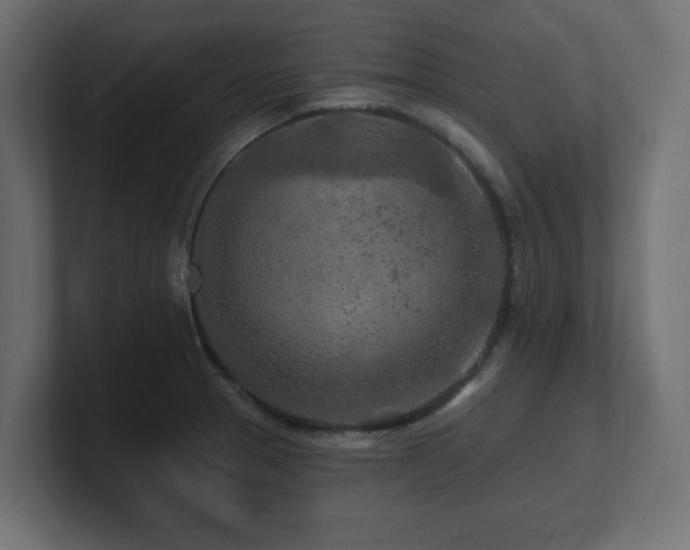 X0000101091329200806261443