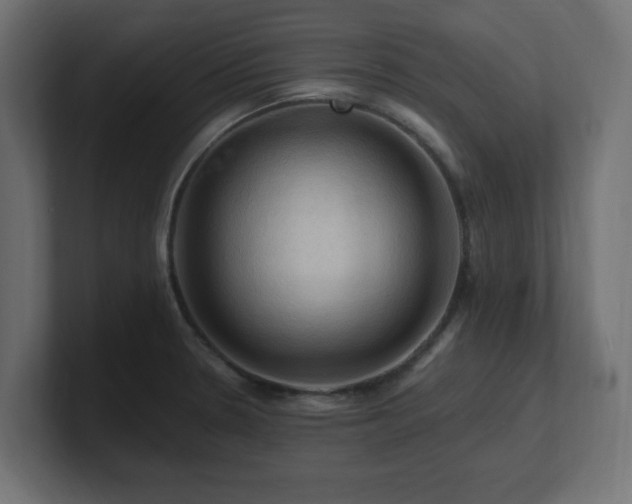 X0000101091330200806261443