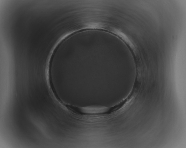 X0000101091331200806261443