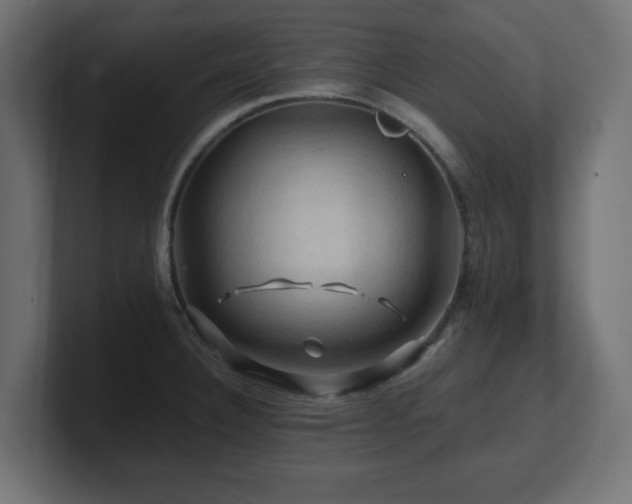 X0000101091332200806261443