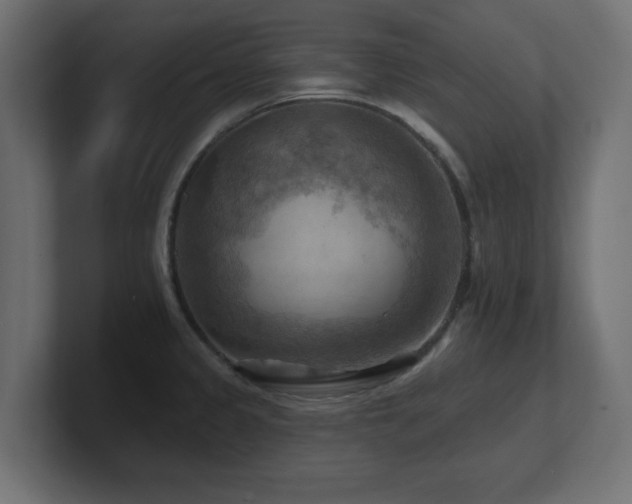 X0000101091333200806261443