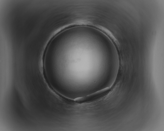 X0000101091335200806261443