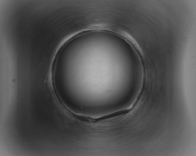 X0000101091336200806261443