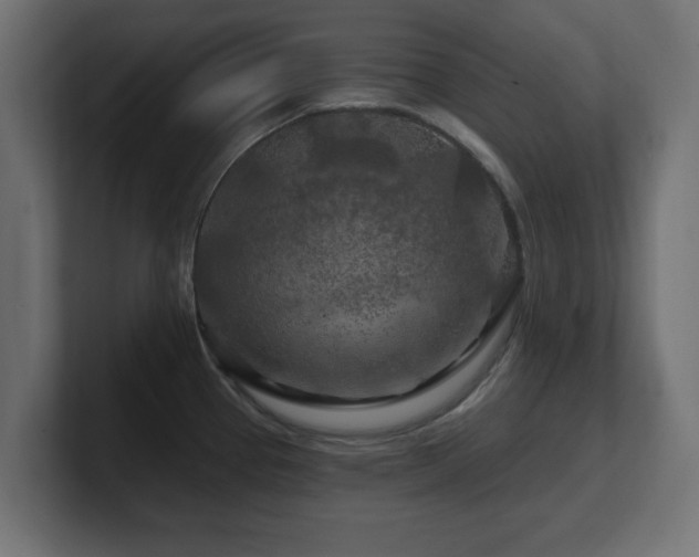 X0000101091337200806261443