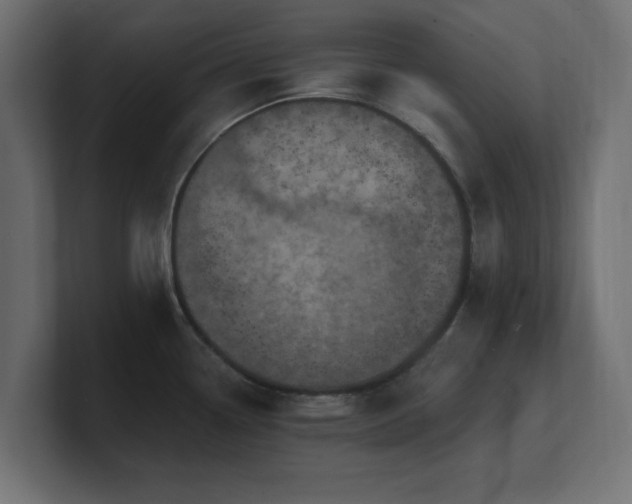 X0000101091338200806261443