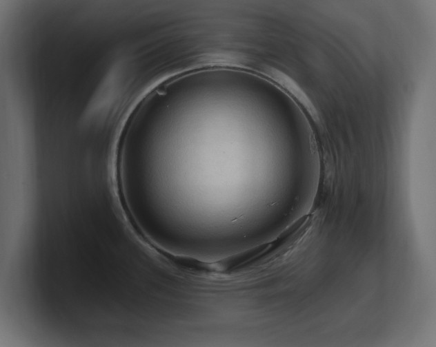 X0000101091339200806261443