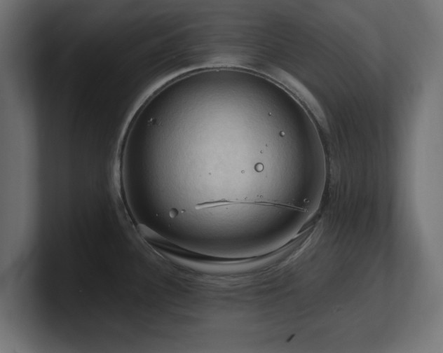 X0000101091340200806261443