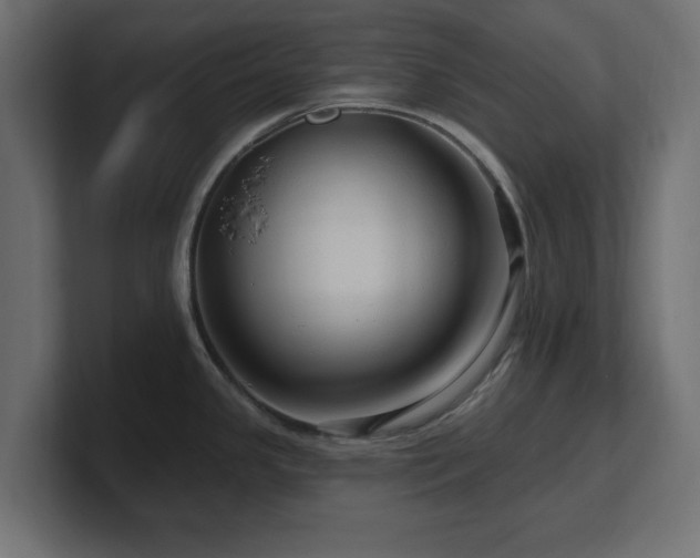 X0000101091341200806261443