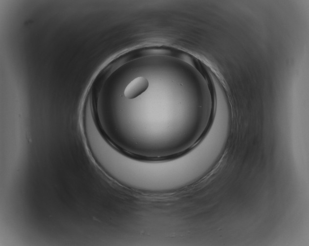 X0000101091342200806261443