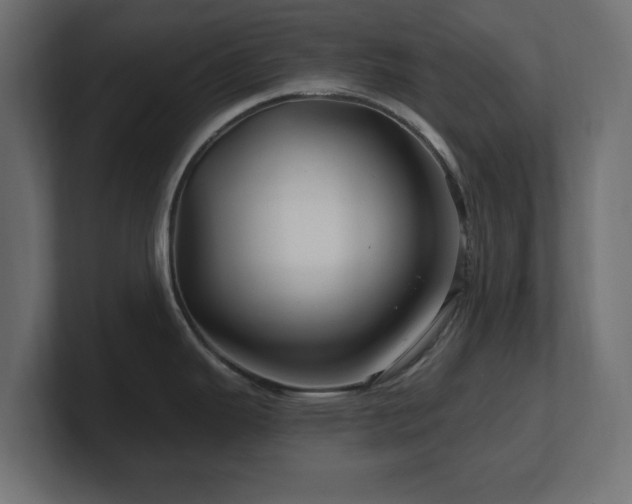 X0000101091343200806261443