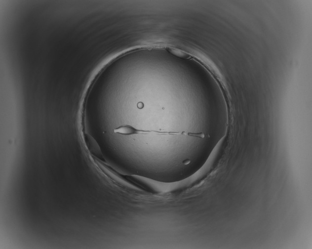 X0000101091344200806261443