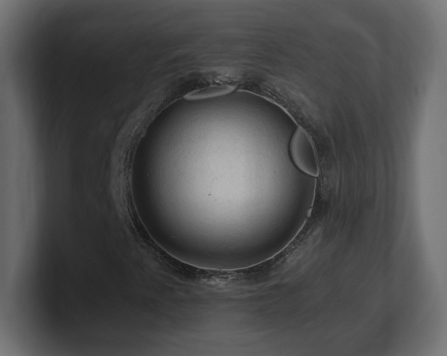 X0000101091345200806261442