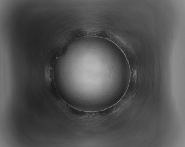 X0000101091346200806261442