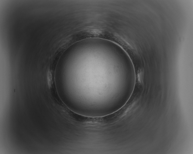 X0000101091347200806261442