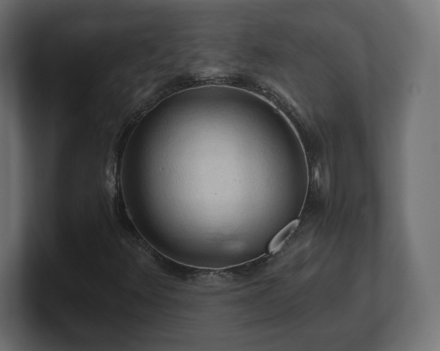 X0000101091348200806261442