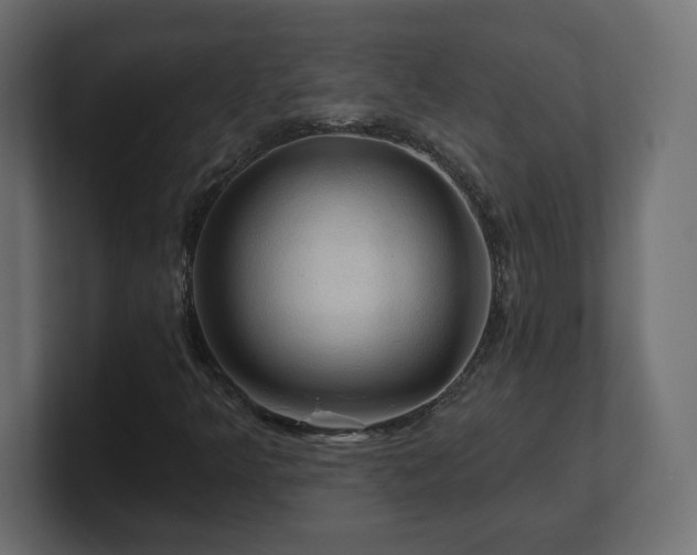 X0000101091349200806261442