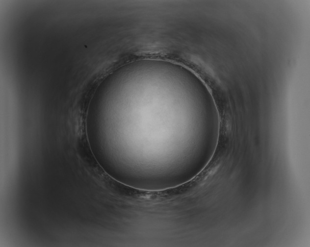 X0000101091350200806261442