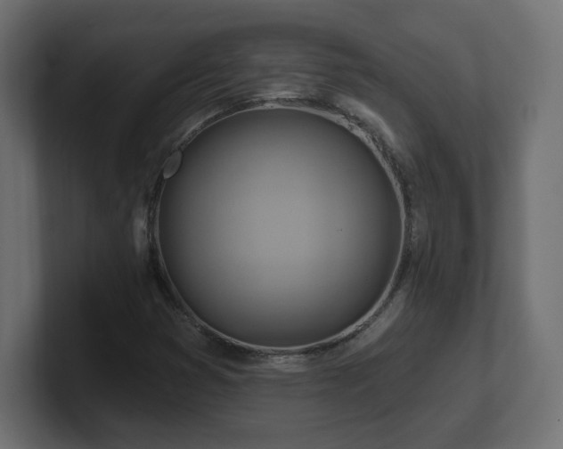 X0000101091353200806261442