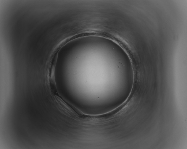 X0000101091355200806261442