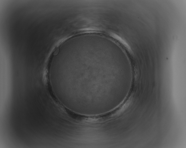 X0000101091357200806261442