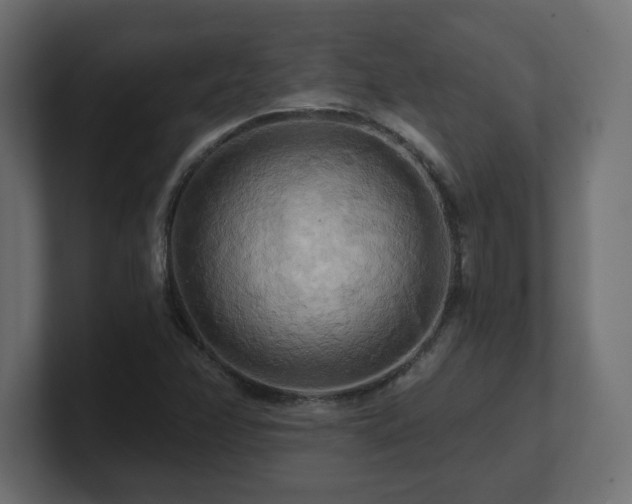 X0000101091358200806261442