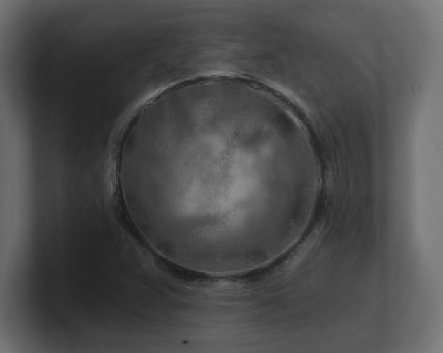 X0000101091359200806261442