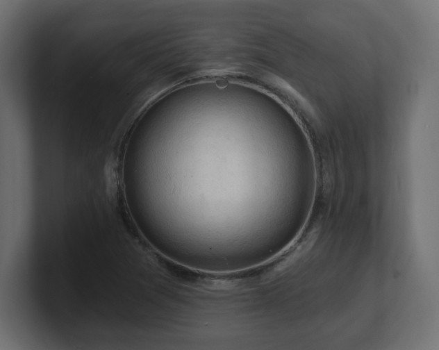 X0000101091361200806261442