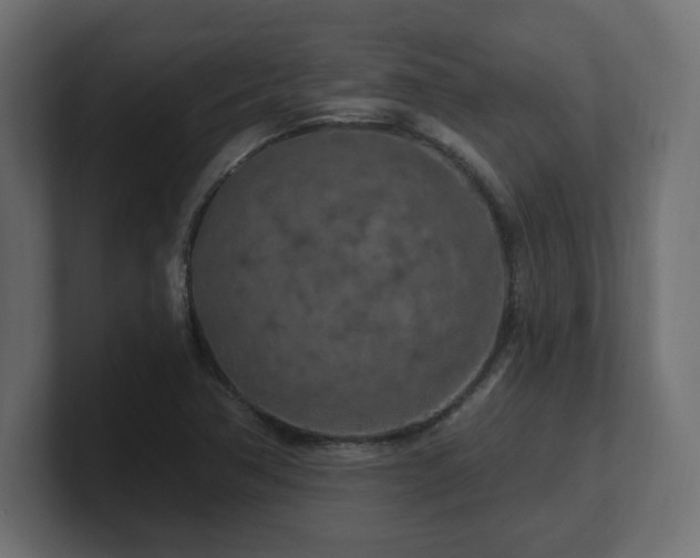 X0000101091362200806261442