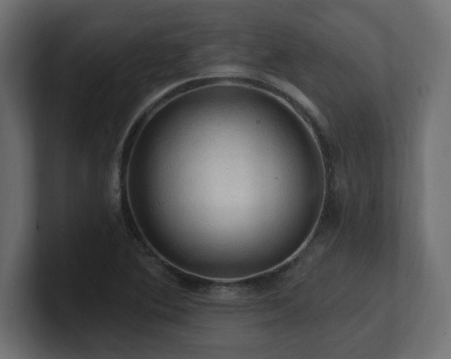 X0000101091364200806261442