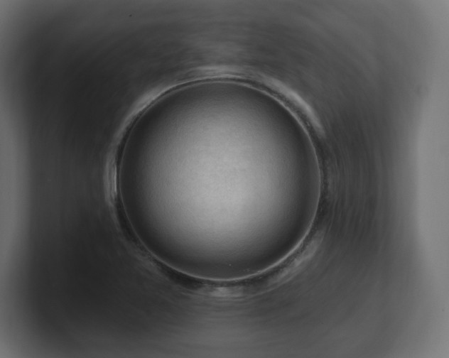 X0000101091365200806261442