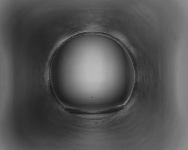 X0000101091366200806261442