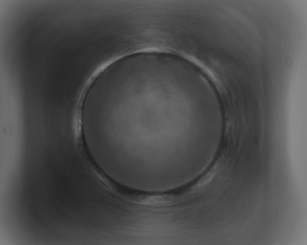 X0000101091367200806261442