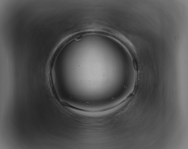 X0000101091368200806261442