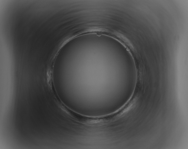 X0000101091369200806261442