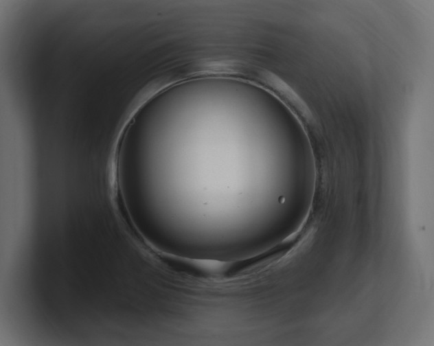 X0000101091370200806261442