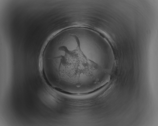 X0000101091371200806261442