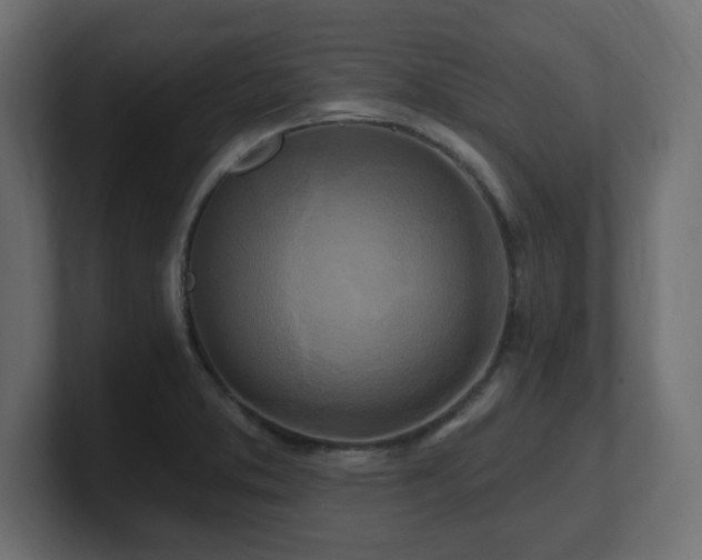 X0000101091373200806261442