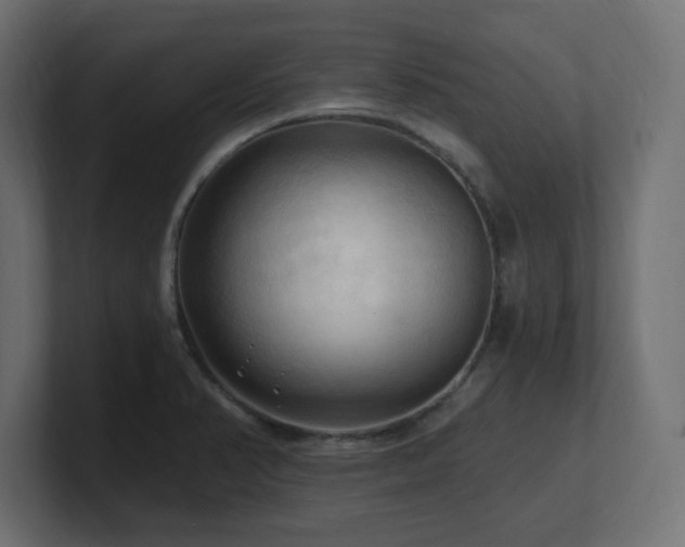 X0000101091374200806261442