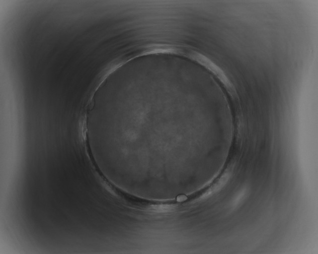 X0000101091377200806261442