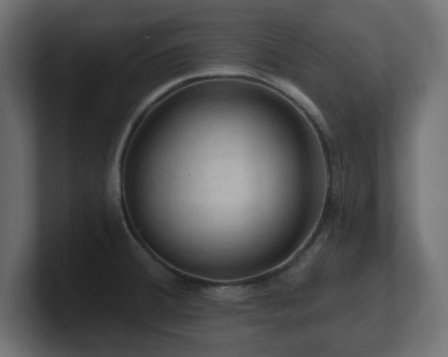 X0000101091380200806261442