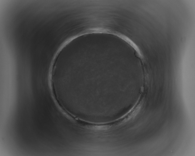 X0000101091381200806261442